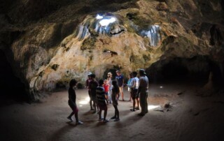 Beach & Cave Bus Tour