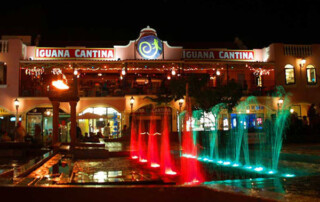 Iguana Cantina